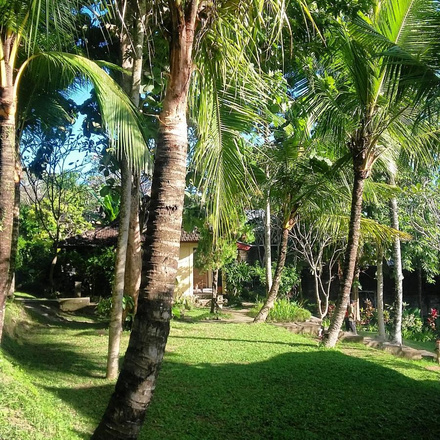 Argasoka Bungalows Убуд Экстерьер фото