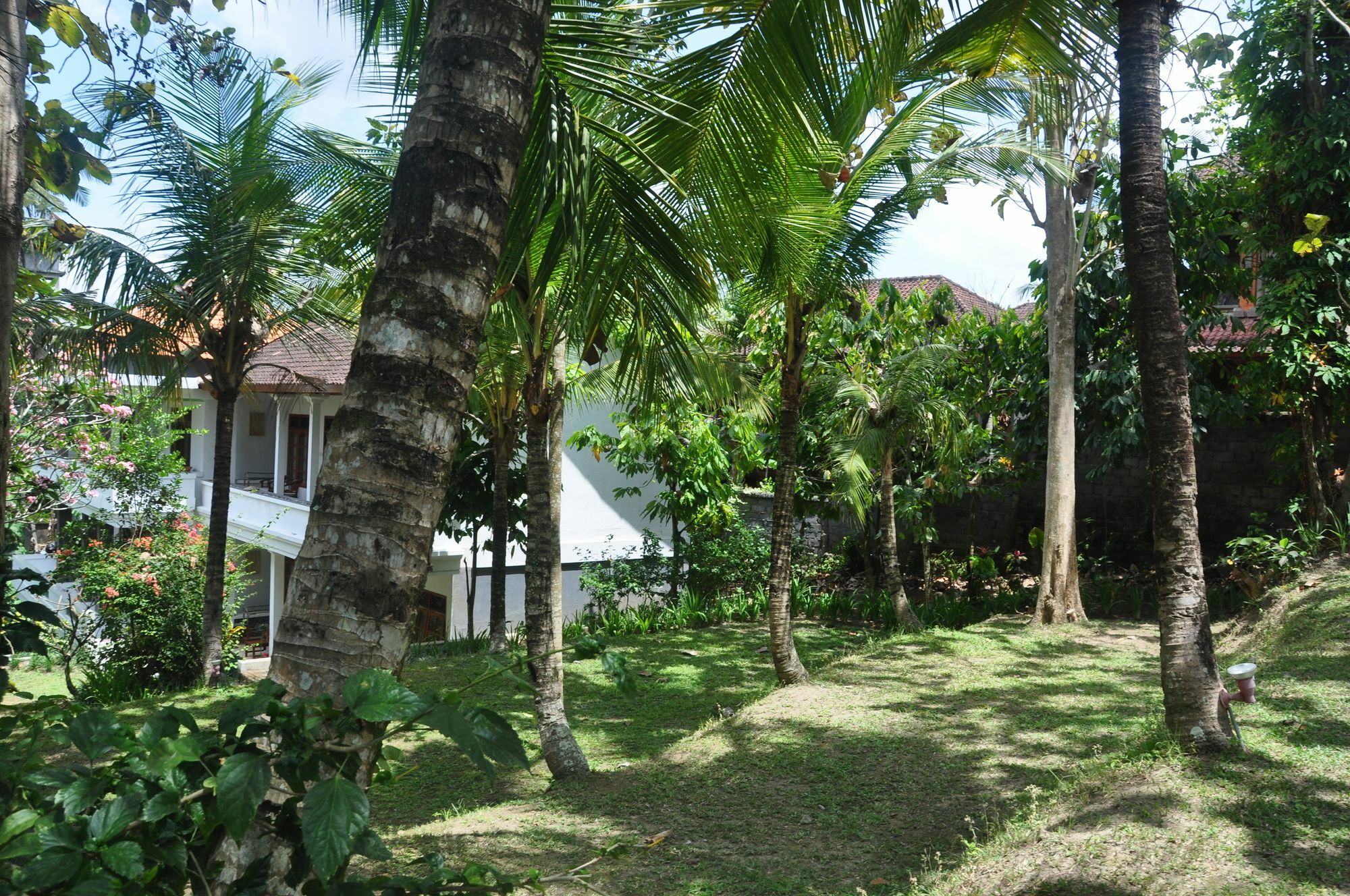 Argasoka Bungalows Убуд Экстерьер фото